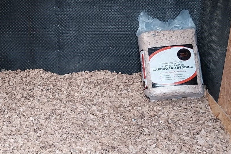 Roberta Sheffield: Cardboard horse bedding review