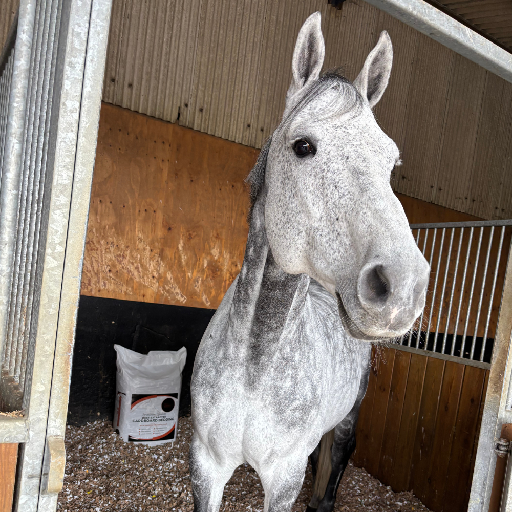 Cardboard Animal Bedding - 28 Bales (Full Pallet)